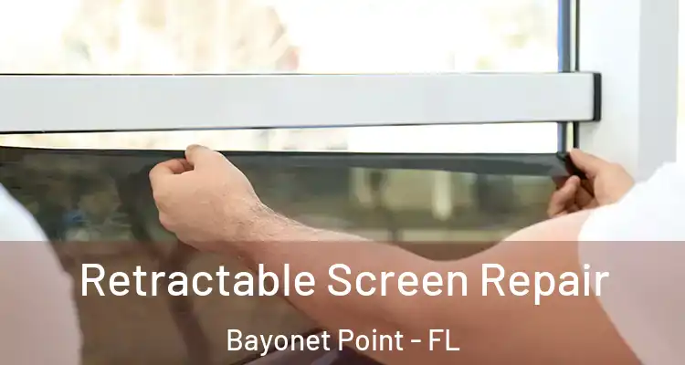 Retractable Screen Repair Bayonet Point - FL