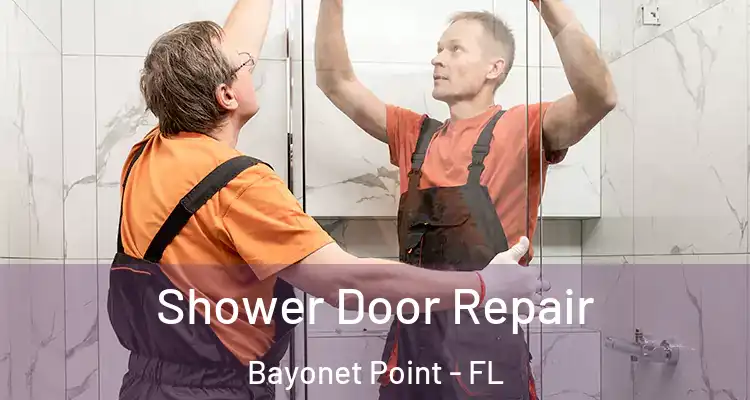  Shower Door Repair Bayonet Point - FL