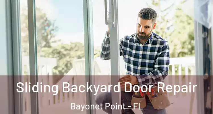  Sliding Backyard Door Repair Bayonet Point - FL