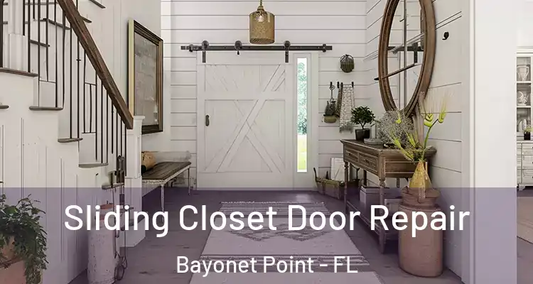  Sliding Closet Door Repair Bayonet Point - FL