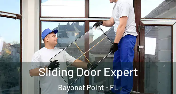  Sliding Door Expert Bayonet Point - FL