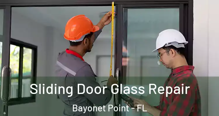  Sliding Door Glass Repair Bayonet Point - FL