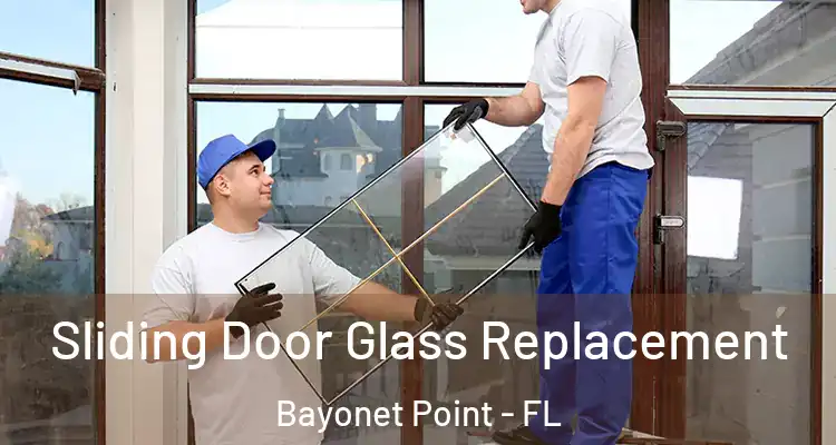  Sliding Door Glass Replacement Bayonet Point - FL