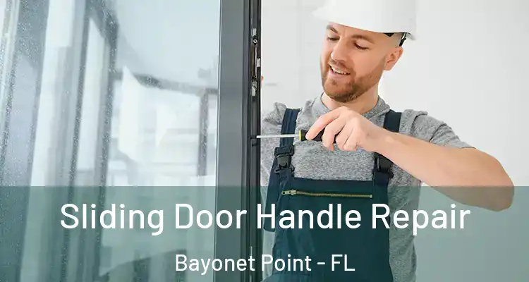  Sliding Door Handle Repair Bayonet Point - FL
