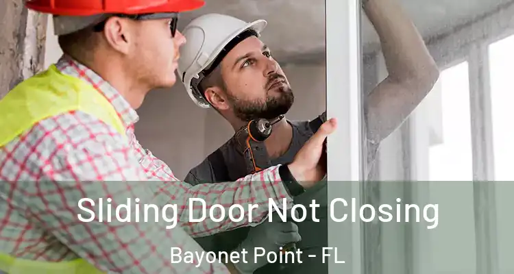  Sliding Door Not Closing Bayonet Point - FL