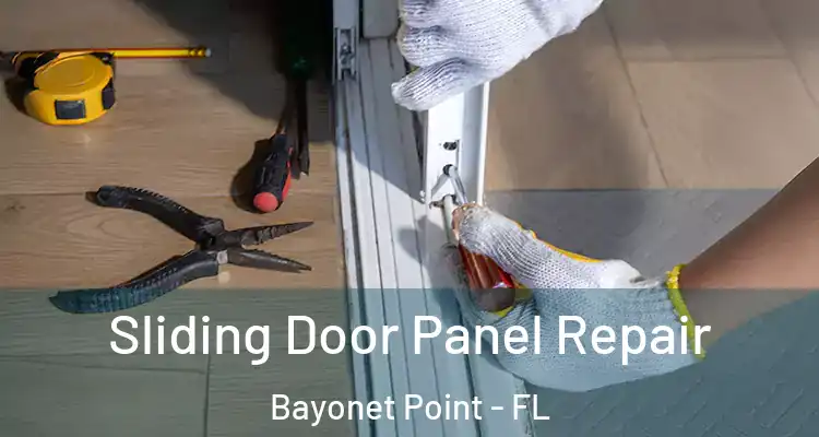 Sliding Door Panel Repair Bayonet Point - FL