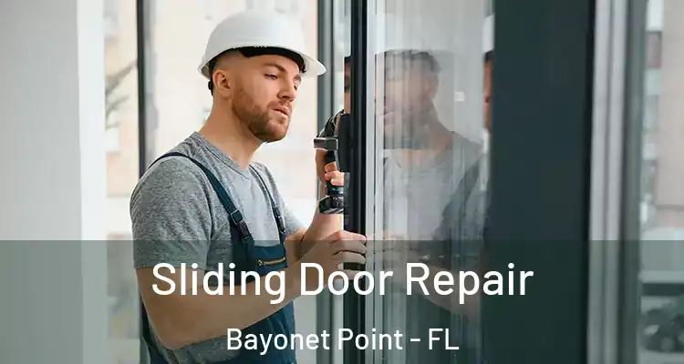  Sliding Door Repair Bayonet Point - FL
