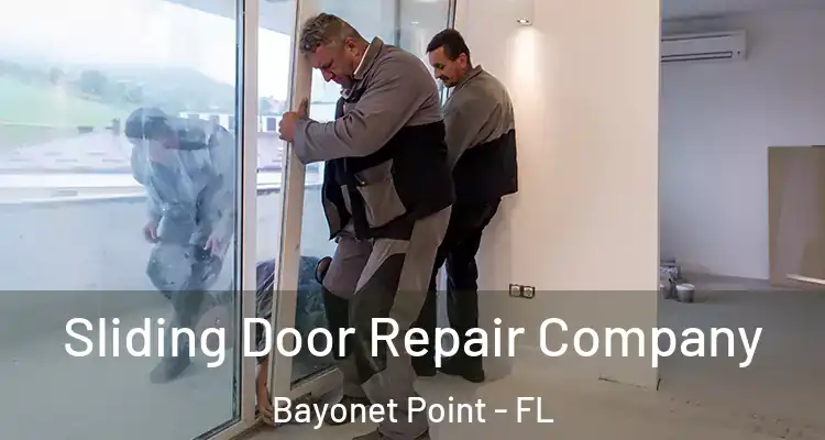  Sliding Door Repair Company Bayonet Point - FL