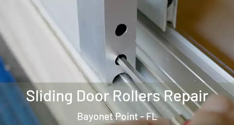  Sliding Door Rollers Repair Bayonet Point - FL