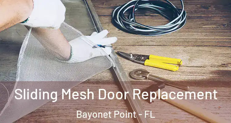  Sliding Mesh Door Replacement Bayonet Point - FL