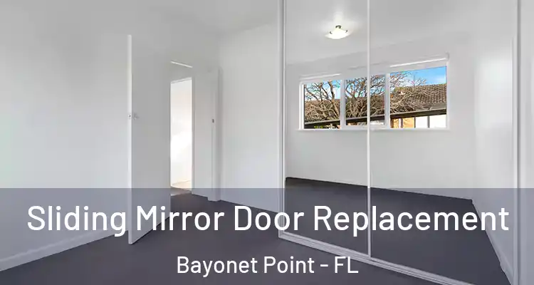  Sliding Mirror Door Replacement Bayonet Point - FL