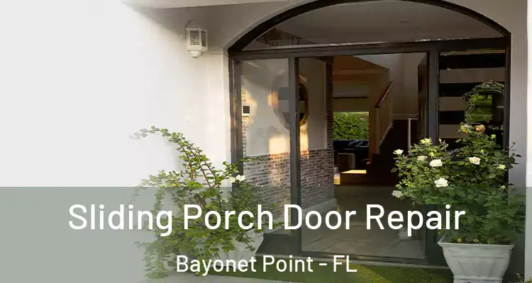  Sliding Porch Door Repair Bayonet Point - FL