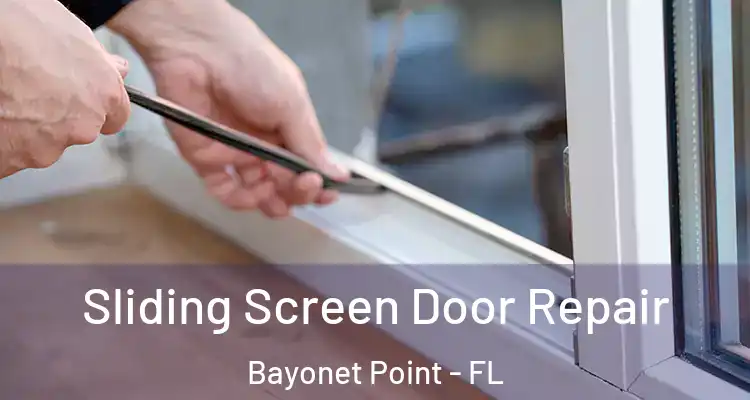  Sliding Screen Door Repair Bayonet Point - FL