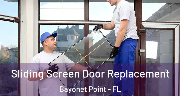 Sliding Screen Door Replacement Bayonet Point - FL
