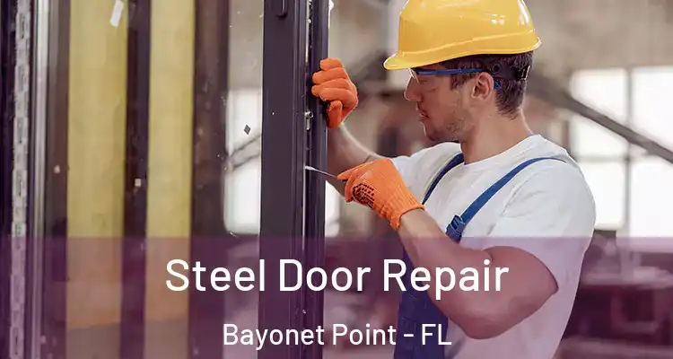  Steel Door Repair Bayonet Point - FL