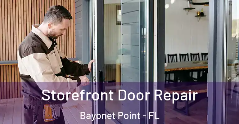  Storefront Door Repair Bayonet Point - FL