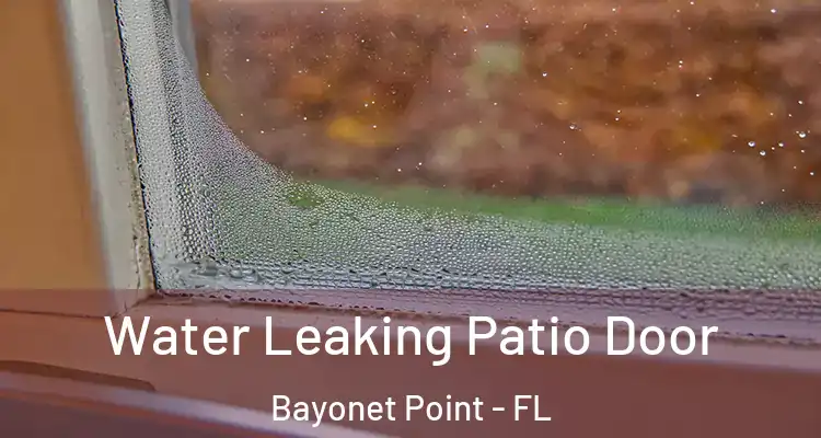  Water Leaking Patio Door Bayonet Point - FL