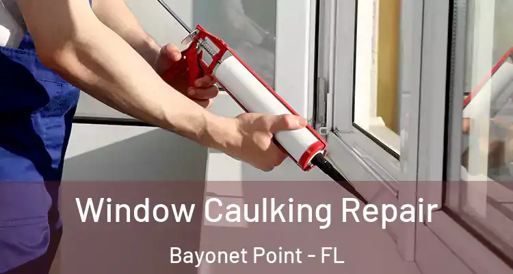  Window Caulking Repair Bayonet Point - FL