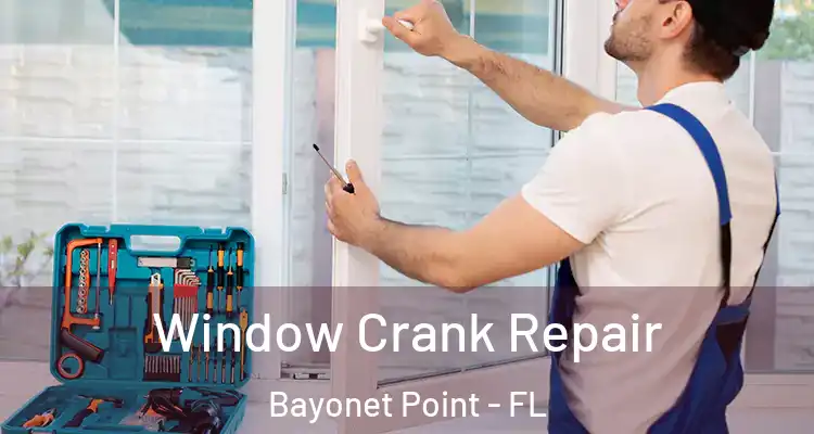  Window Crank Repair Bayonet Point - FL