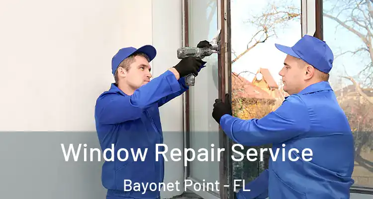  Window Repair Service Bayonet Point - FL