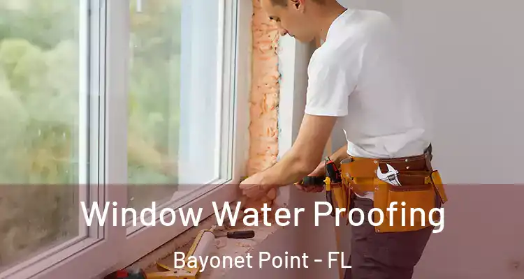  Window Water Proofing Bayonet Point - FL
